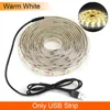 Strisce a mano Sweep Sensore USB LED Strip Light DC5V Lampada a diodi Nastro a nastro 2835 SMD 60LEDs/M Per TV Retroilluminazione Desktop Screen DecorationLED