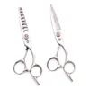 Hair Scissors Hairdressing 6quot Purple Dragon Japan 440C Barber Thinning 9022 Chunker Tijeras Peluqueria Profesional82707413579316