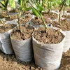 Planters & Pots 100Pcs Biodegradable Nonwoven Fabric Nursery Plant Grow Bags Seedling Growing Planter Planting Eco-Friendly Ventilate Bag