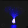 LED Night Light Colorido Fibra Óptica Lanterna Atmosfera Lâmpada USB Bateria Luzes Home Festival Casamento Artigo