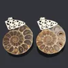 Naturel Cristal Fossile Shell Escargot Pendentif Collier Énergie Pierre Guérison Divination Colliers pour La Maison Décoration Cadeau Collection