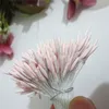 288PCS Matte White Single Head Flower Stamen DIY Pistil Cake Decoration Crafts Y0630