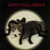 Pet Super Funny Clothing Dress Up Accessori Halloween Costume per cani di piccola taglia Cat Cosplay Spider