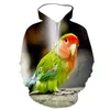 3d parrot