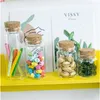 Capacity 50ml 80ml 100ml 150ml Glass Bottles with Cork Clear Jars Weding Gift Empty Containers 48pcsgood qty