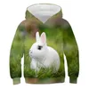 Fall / Winter 2021 Nieuwe Harajuku Rabbit Hoodie Casual Lange Pullover Trend Printing 3D Trui Sweatshirt Losse Kinderen 4-14T G1028