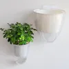 Transparenta plast Dubbelskikt Självvattenvägg Hängande Blomkruka Planter Pottar för Blommor Heminredningsplanter
