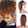 Kurzer Puff-Afro-Kinky-Curly-Pferdeschwanz mit Kordelzug, afroamerikanischer Wickel-Synthetik-Pferdeschwanz, Clip-in-Haarverlängerungen