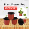 50pc Mini Flower Pots Kleurrijke Plastic Ronde Bloem Plant Pot Planters voor Succulents Decor Planten Desktop Bloempotten 210615