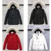 Men Casual Designer Down Jacket gooseDown Coats Men039s Outdoor Warm Man Winter Coat Outwear Jackets Windproof Parkas Wolf Fur5803216