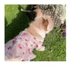 Jacquard Skirt Pets Vest Dresses Seersucker Princess Dress Dog Apparel INS Style Cat Dogs Skirts Costumes