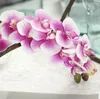 Faux orkidé stammar phalaenopsis blommor riktiga touch artificiella latex kronblad