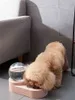NIEUWE BUBBLE PET KOMS KAT VOEDSEL Automatische feeder 1.8L Fontein voor water het drinken Single Large Bowl Dog Kitten Voedingscontainer Y200922