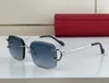 Männer Sonnenbrillen für Frauen Neueste Verkauf Mode Sonnenbrille Herren Sonnenbrille 0962 Gafas de Sol Top Qualität Glas UV400-Objektiv mit Fall 11