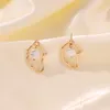 Hoop Huggie Fashion Style Niche Irregular Pearl Earrings European and American Female Temperament Elegant