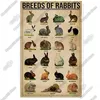 Breeds of Rabbits Retro Metal Sign plate for Bar Cafe Club Kitchen farmhouse Wall Decoration Plaque Nostalgic Art Iron Painting H1110