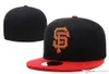 Alla basebollag SF Sport Fitted Cap Men039S Women039S US Full Close Caps Mix Color Flat Sized Hats4868615