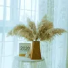진짜 말린 꽃 팜파스 잔디 큰 장식 자연 식물 웨딩 꽃다발 플라스틱 꽃병 홈 장식 좋은 품질 210317