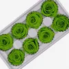AINYROSE 4-5 cm 8 adet / kutu DIY Doğal Korunmuş Gül Ebedi Gül Kafa Kurutulmuş Çiçekler Düğün Ev Dekor Hediye Kadınlar için Sınıf B 210317