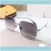 Moda Aessories Top Oryginalny Wysokiej Jakości Designer Okulary przeciwsłoneczne dla Męskie Kobiet Znani Modna Klasyczna Retro Luksusowa Marka Eyeglass Steam