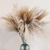 Natural Dried Flowers Wedding Decorative Real Pampas Reed Whisk Grass Artificial Flower Bunch Home Plant Ornaments