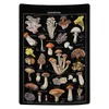 Tapestries Mushroom Tapestry Vintage Reference Chart Colorful Vertical Wall Hanging 51.2 X 59.1 Inch