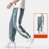 Jesień Winter Stripe Spodnie dresowe Mężczyźni Streetwear Hip Hop Joggers Spodnie Dole Dna Harem Spodnie Mężczyźni Gyms Gray Track Spodnie 210603