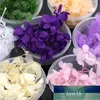1 Box Dry Flower DIY Epoxy Resin Crafts Handmade Filling Materials Filler Dried Flowers Time Stone Jewelry Making Desk Decor Factory price expert design Quality