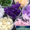 1 Box Dry Flower DIY Epoxy Resin Crafts Handmade Filling Materials Filler Dried Flowers Time Stone Jewelry Making Desk Decor Factory price expert design Quality