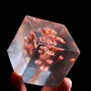 Żywica Rose Daisy Cube Dandelion Crystal Glass Paperweight Real Natural Roślin Próbki Feng Shui Kwiaty Xmas Prezent z drewnianym pudełkiem 210811