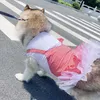Prinses Medium Large Costume Plaid Pet Kleding voor Honden Rok Jurken Disfraz Perro Labrador