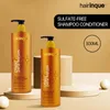 300ml Sulfate-free Hydrating Shampoo Set For Hair Argan Oil Soften Treatment Professional Hair Shampoo Conditioner