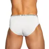 Hommes Mode Bikini Modal Mémoires Sexy Sous-Vêtements Culotte Homme Culotte Gay