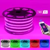 Remsor WiFi Control RGB Neon Strip Light Lamp Waterproof 2835 Vitt varmt flexibelt LED -rep EU UK AU 220V US 110V265E