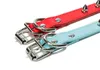 2021 Punk Rivet Avoid Bite Dog Collar Candy colors pu leather leash collars pet puppy supplies red blue black blue