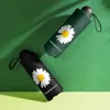 Daisy Mini Pocket Paraply Regn Kvinnor Fällande Klar Män Anti UV Parasol Svart Sun Paraplyer