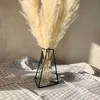 55cm Pampas Grass Decor Large Natural Dried Flowers Bouquet Wedding Vintage Style for Home Valentine's Day Gift 210925