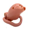 NXY Chastity Enhet Plasthale med 4 Storlek Ringar Mässingslås Kukbur Dolphin Shape Penis Ring Man Products Sex Toys1221