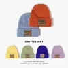 Cashmere tricoté chapeau chapeau chaud de laine chapeau de laine hip-hop crullies caschance costume accessoires accessoires hiver chapeau femala