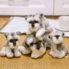 시뮬레이션 Bichon Frize Plush Dog Toy Supe Cute vomeranian 박제 동물 생일 강아지 애완 동물 애완 동물 애호가를위한 장난감 Y211119