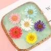 12Pcs/Bag New Colorful Pressed Daisy Artificial Dried Flower Pendant Necklace Resin Jewelry Making DIY Crafts Art Accessories Y0630