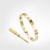 Love Screw Bracelet 5 0 heren Armbanden 10Diamond designer Bangle luxe sieraden dames Titanium staal Legering Verguld Craft Gold 278V