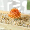 Artificial Succulents Plants PVC Simulation Aloe Lotus Flower Landscape DIY Faux Flower Creative Home Decoration DIY Accessories