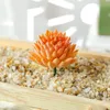 Piante grasse artificiali Simulazione PVC Aloe Fiore di loto Paesaggio Fiore finto fai da te Decorazione domestica creativa Accessori fai da te