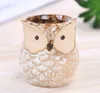 Owl Pot Ceramic Flowing Glaze Base Succulent Plant Cactus Flower Container Planter Bonsai krukor med ett hål perfekt