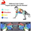 KoKossi Household Multifunction Push Up Rack Board Push-up Stands Body Building Training 9 System Comprehensive Fitness Exercise X0524