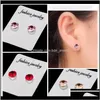 Ringe Ohrstecker Körperschmuck Schmuckkristall Magnetischer Ohrring Fake Magnet Ohrlippe Nicht Piercing Tragus Nasenstecker 8 Paare/Pack Drop Lieferung 2021