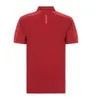 F1 Team Racing Suit Officiell Samma stil Mäns kortärmad Polo-skjorta Verstappen Överaller Anpassade 296U