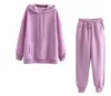 2020 Autumn Winter Women Casual Sweatsuit Solid Long Sleeve Outfit Hoodie and Jogger Set 2 Pieces Fleece Tracksuit Y0625