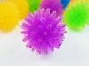 Fidget Hand Stress Relief Spielzeug Kleine Kugel Fußmassage Tier Katzenspielzeug Entlüftungspresse Bayberry Balls 0497